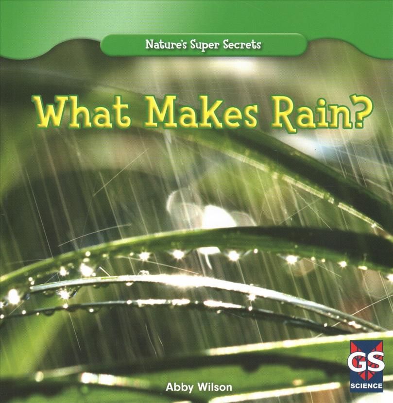 What Makes Rain? By Annmarie Wilson 9781433981715 (Paperback)