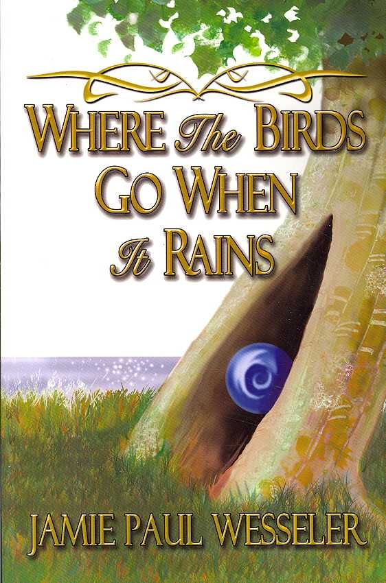 Where The Birds Go When It Rains By Jamie Paul Wesseler 9781434315502