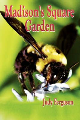Madison's Square Garden By Judy Ferguson 9781434399496 (Hardback)