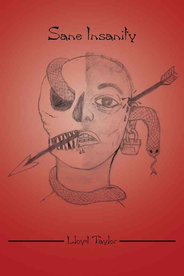 Sane Insanity By Lloyd Taylor 9781434914576 (Paperback)