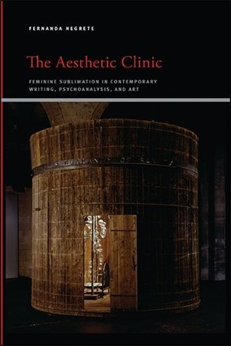 The Aesthetic Clinic By Fernanda Negrete 9781438480213 (Hardback)