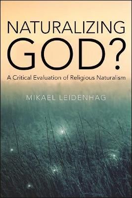 Naturalizing God? By Mikael Leidenhag 9781438484402 (Paperback)