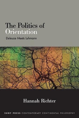 The Politics of Orientation By Hannah Richter 9781438495064 (Hardback)