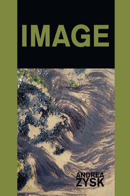 Image By Andrea Zysk 9781438920207 (Hardback)