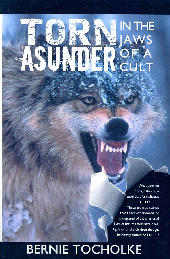Torn Asunder By Bernie Tocholke 9781438923307 (Paperback)