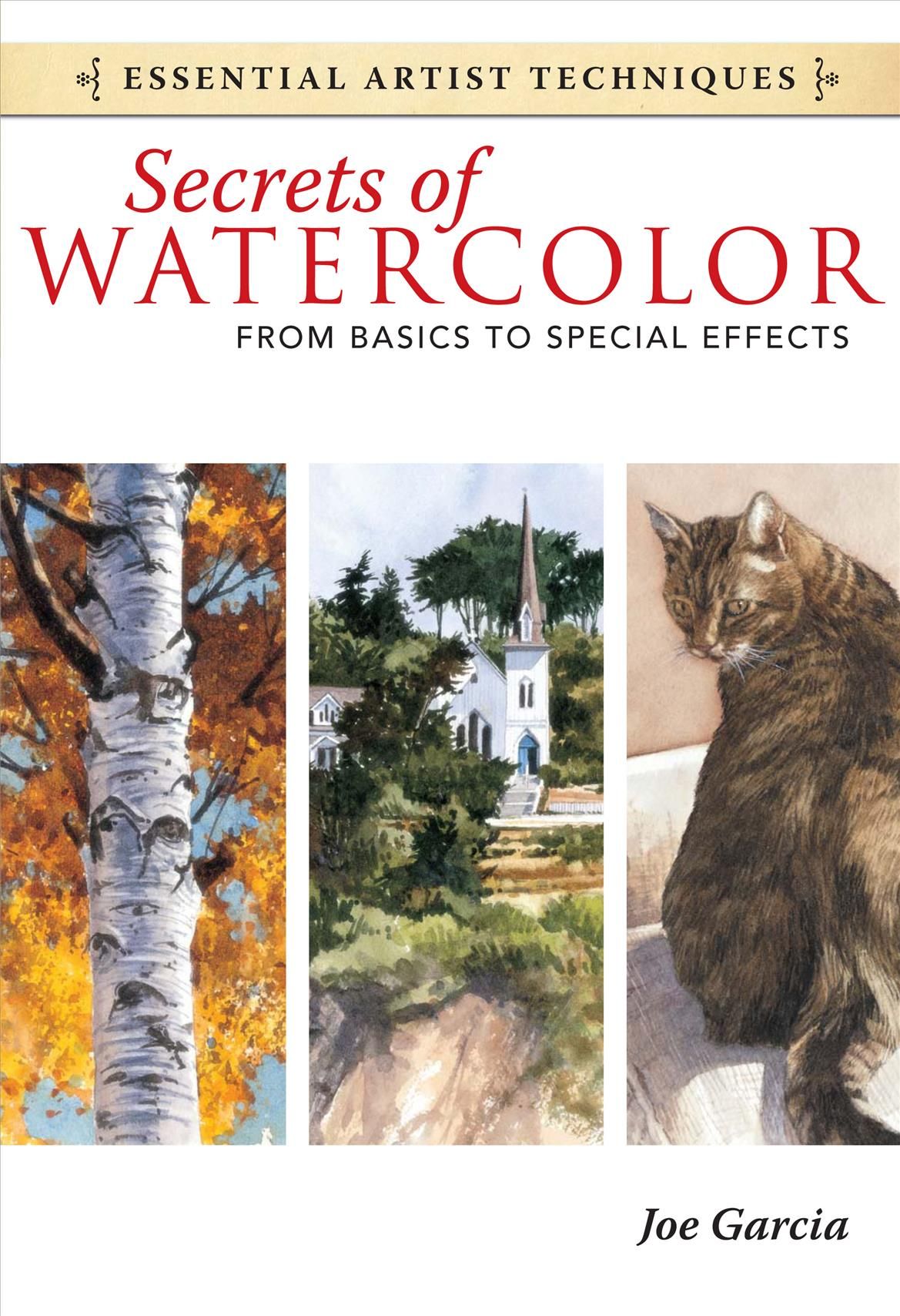 Secrets of Watercolor: From Basics to Special Effe cts By J Garcia