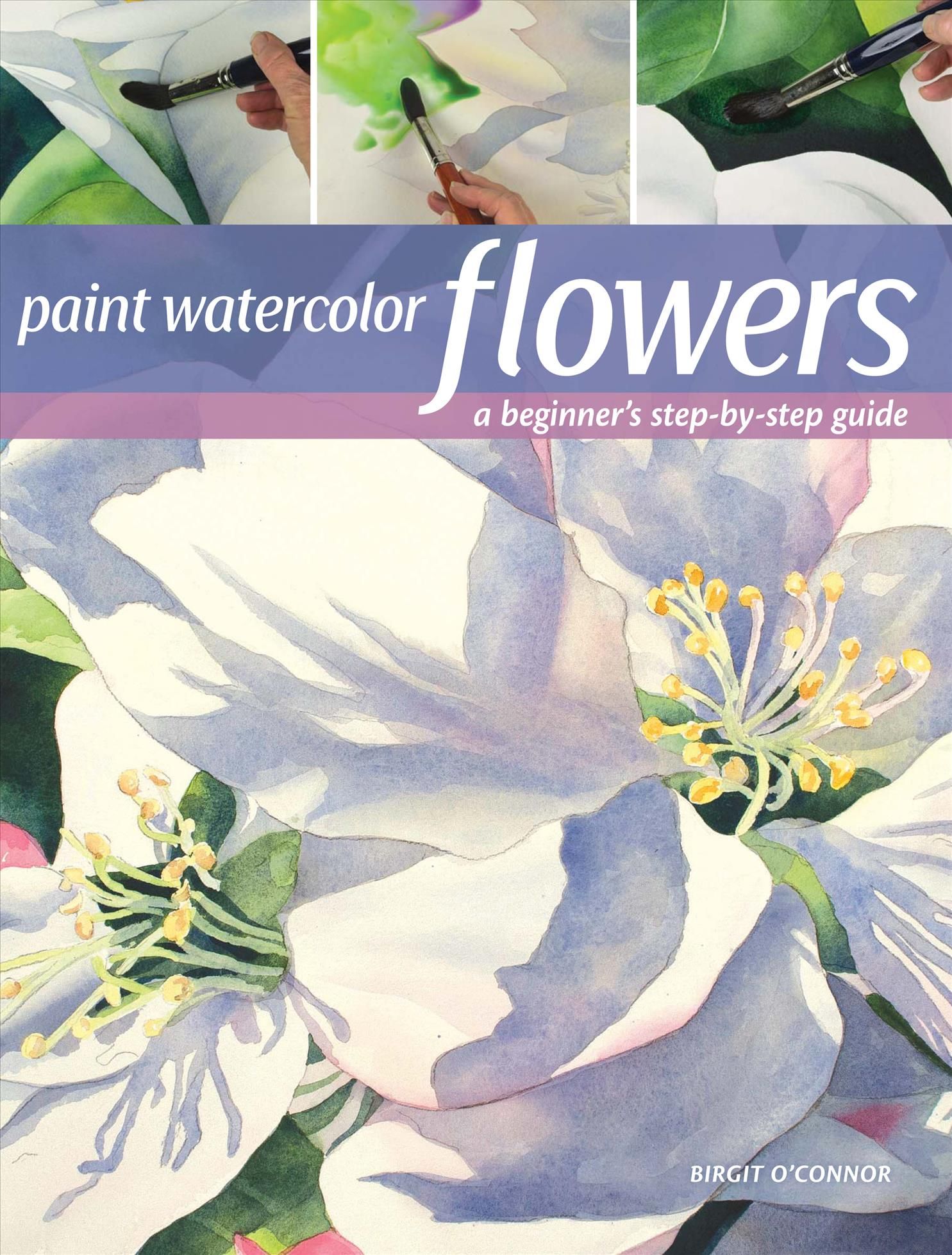 Paint Watercolor Flowers By Birgit O'Connor 9781440349966 (Paperback)