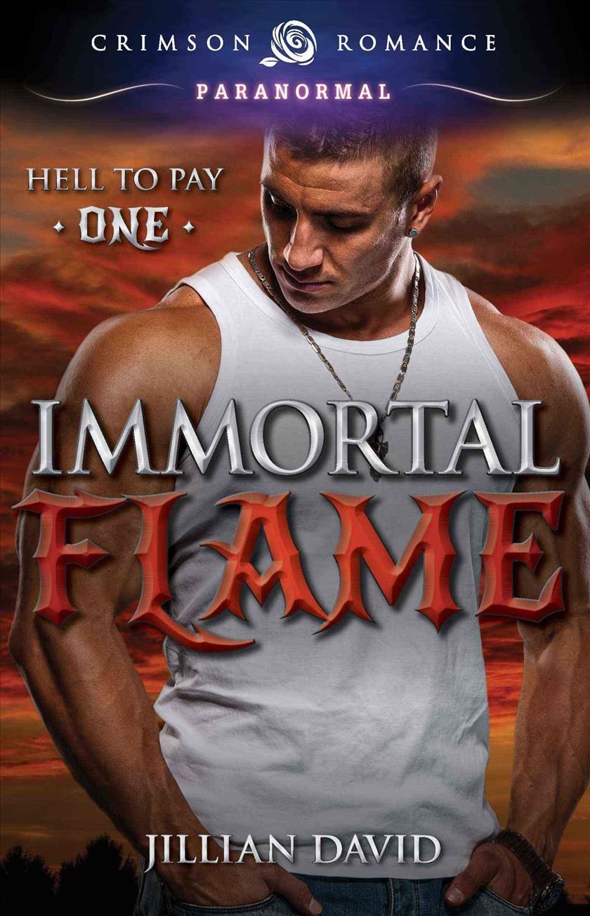 Immortal Flame By Jillian David 9781440589140 (Paperback)