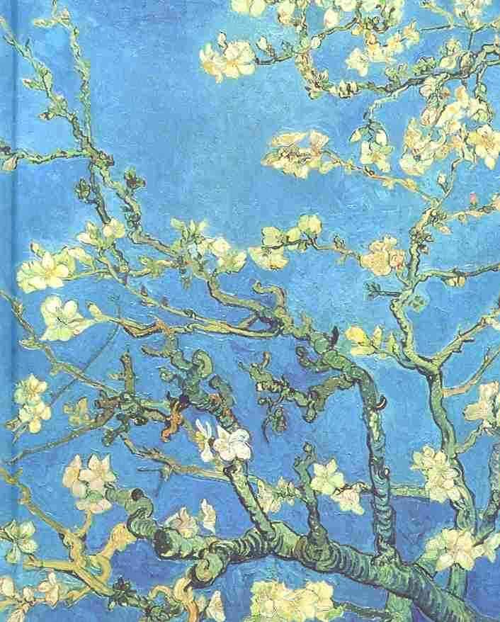 Jrnl O/S Almond Blossom By Inc Press Pauper Peter 9781441303578