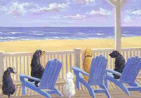 Dogs on Deck Chairs Notecards By Peter Pauper Press, Inc. (Cards)