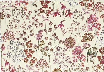 Wildflower Meadow Note Cards (Stationery, Boxed Cards) 9781441332387
