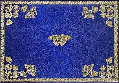 Gilded Butterflies Note Cards (14 Cards, 15 Self-Sealing Envelopes)