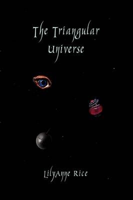The Triangular Universe By Lilyanne Rice 9781441509208 (Hardback)