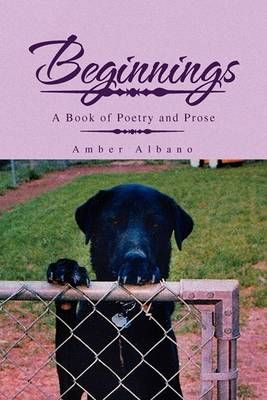 Beginnings By Albano, Amber 9781441551559 (Paperback)