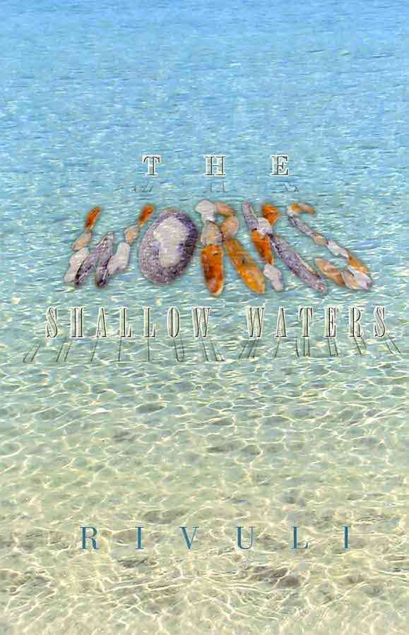 The Works - Shallow Waters By Rivuli 9781441569264 (Hardback)