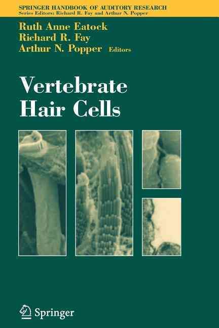 Vertebrate Hair Cells By Ruth Anne Eatock, Richard R. Fay (Paperback)