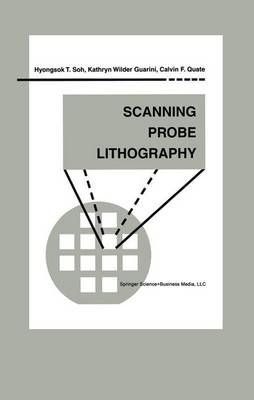 Scanning Probe Lithography 9781441948946 (Paperback)
