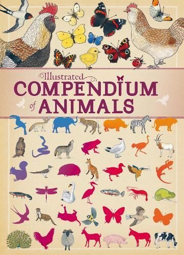 Illustrated Compendium of Animals 9781445151250 (Hardback)
