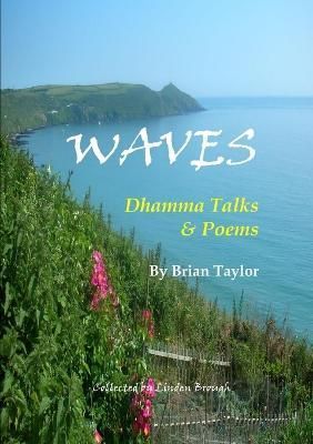 Waves By Linden Brough 9781445201061 (Paperback)