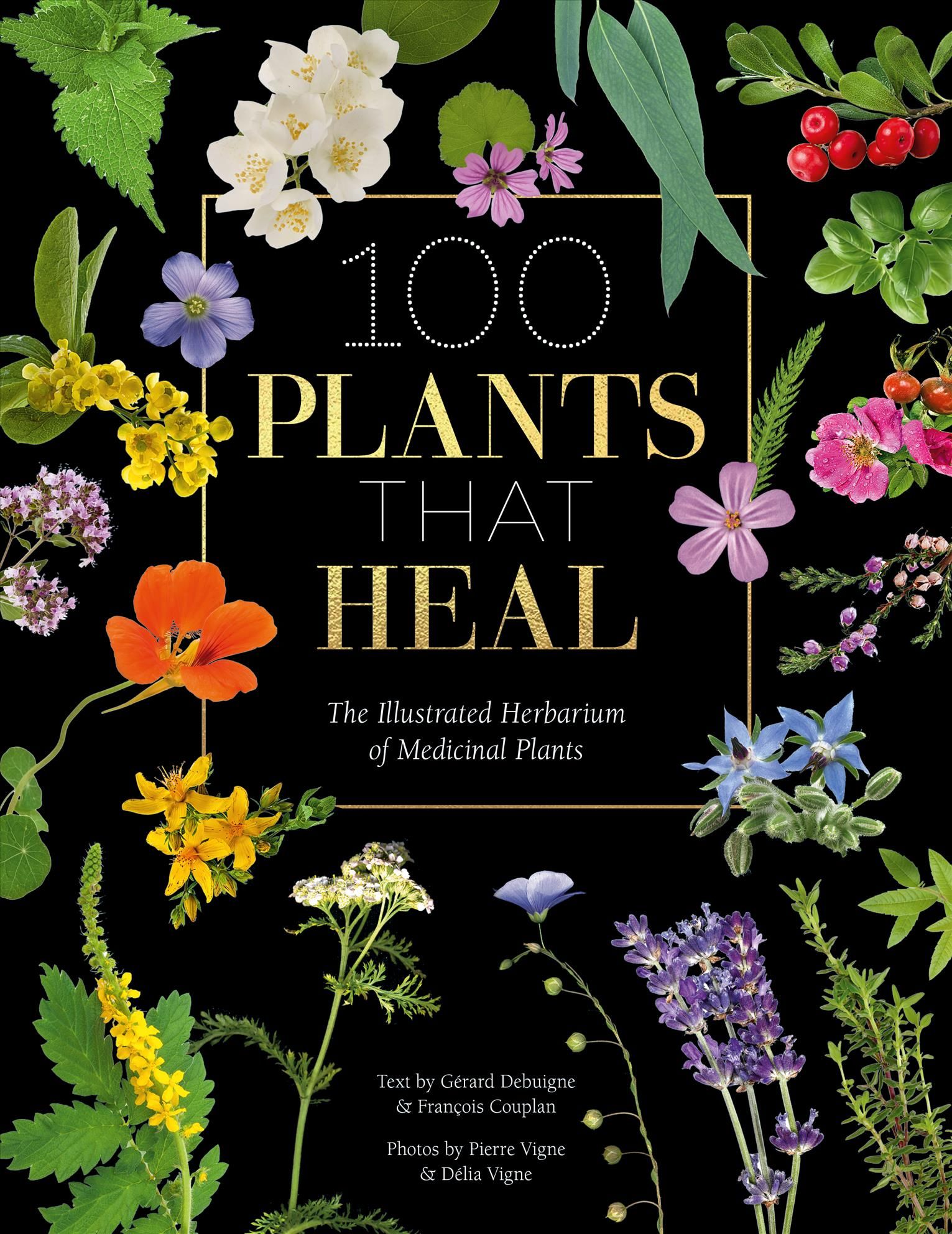 100 Plants That Heal 9781446308776 (Hardback)