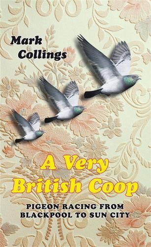A Very British Coop: Pigeon Racing From Blackpool to Sun City