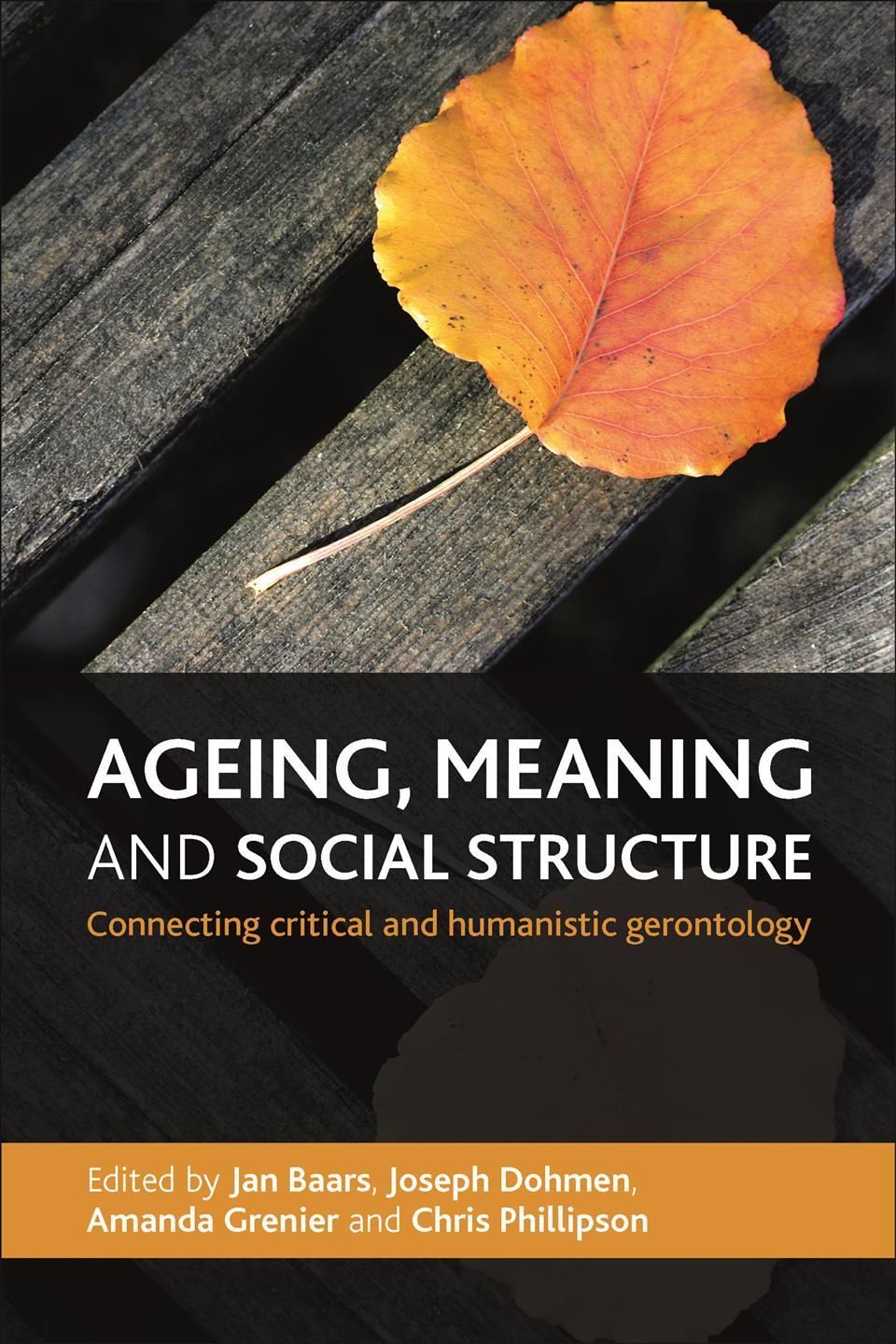 Ageing, Meaning and Social Structure 9781447300908 (Hardback)