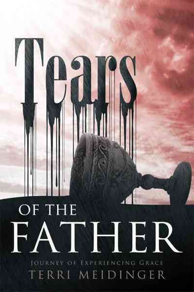 Tears of the Father By Terri Meidinger 9781449709679 (Paperback)