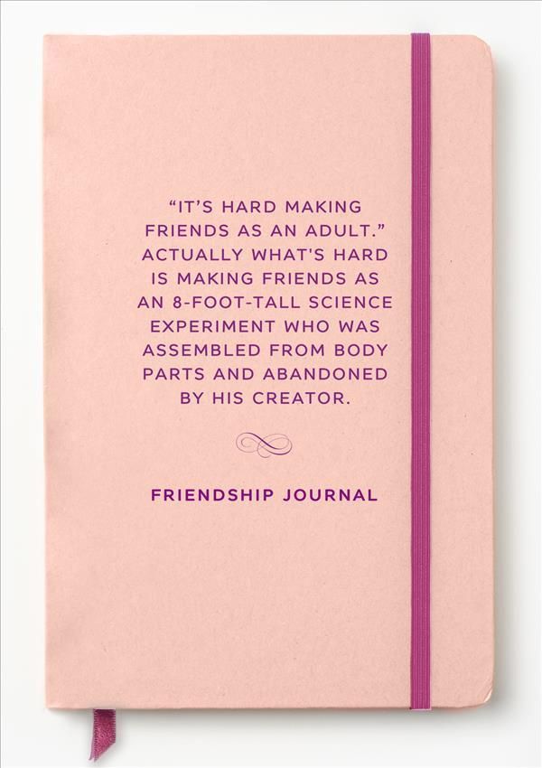 Friendship (Cheeky Classics Journal #3) By Union Square & Co.