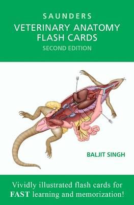 Veterinary Anatomy Flash Cards By Baljit Singh 9781455776832 (Cards)