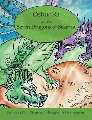 OshunRa and the 7 Dragons of Sekerta By Pitanta 9781456636999