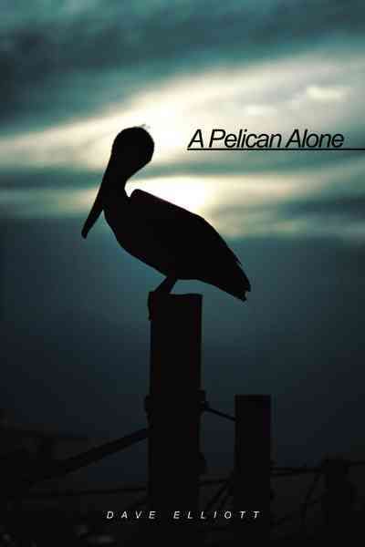 A Pelican Alone By Dave Elliott 9781456739331 (Paperback)