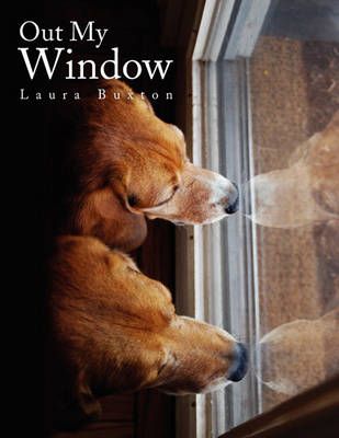Out My Window By Laura Buxton 9781456820800 (Paperback)