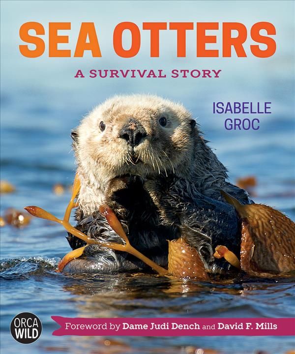 Sea Otters 9781459817371 (Hardback)