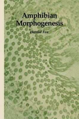 Amphibian Morphogenesis By Harold Fox 9781461297772 (Paperback)