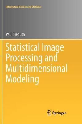 Statistical Image Processing and Multidimensional Modeling (Paperback)