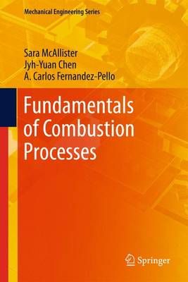 Fundamentals of Combustion Processes 9781461428657 (Paperback)