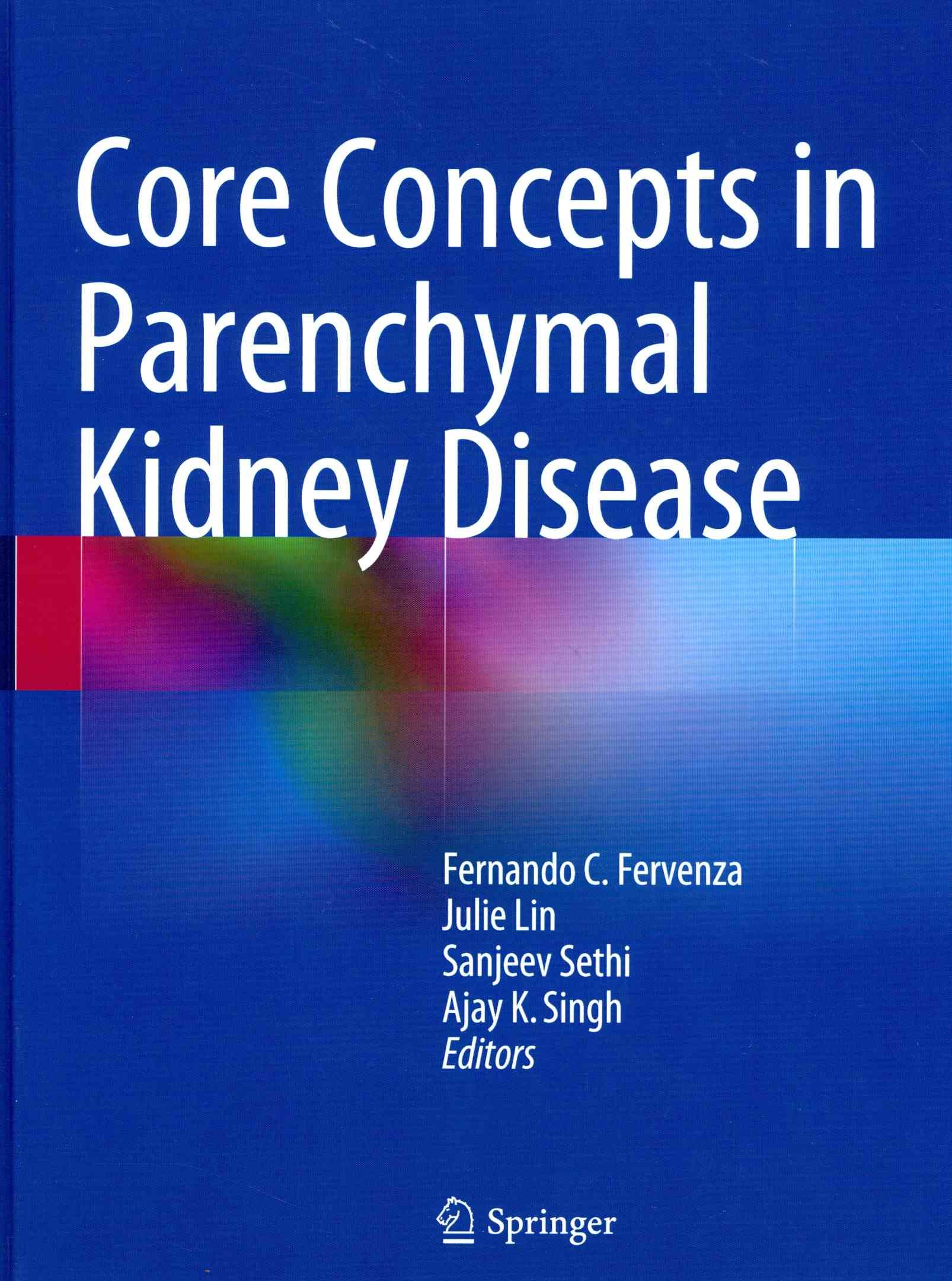 Core Concepts in Parenchymal Kidney Disease 9781461481652 (Hardback)