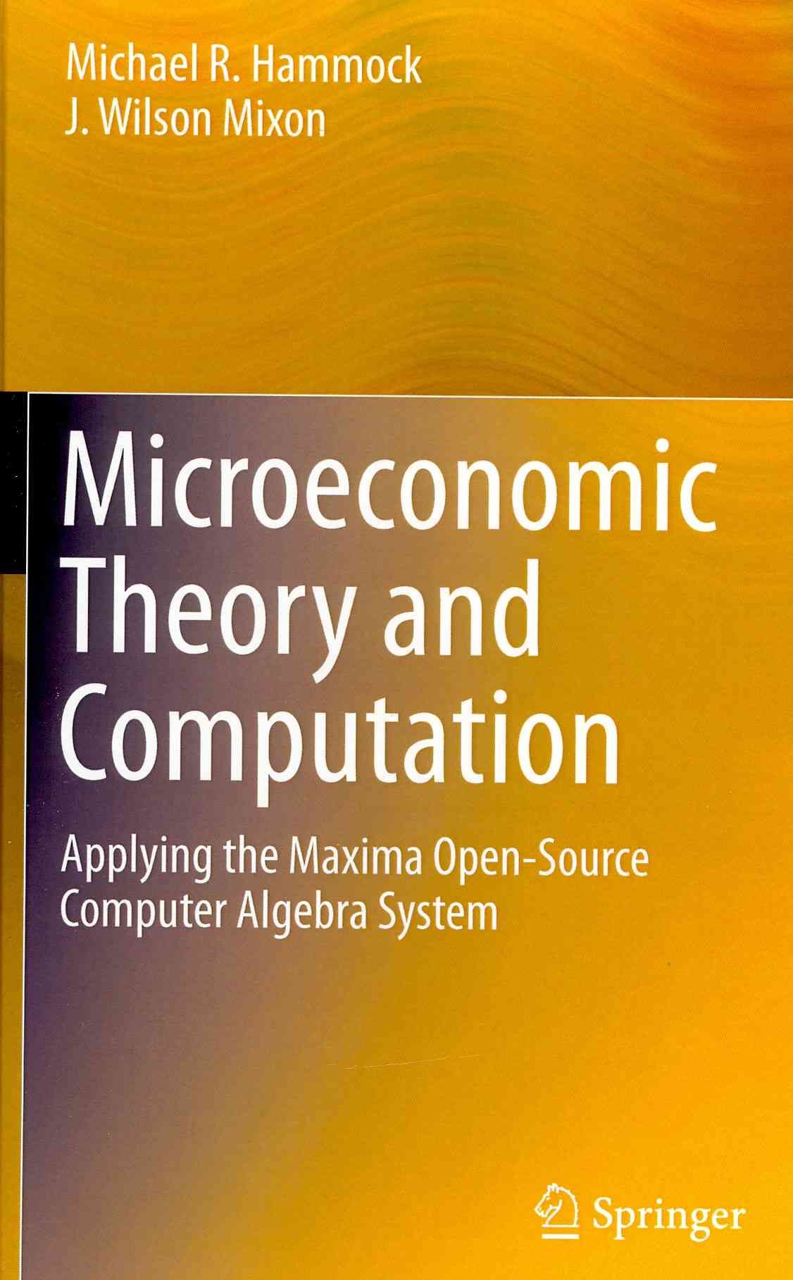 Microeconomic Theory and Computation 9781461494164 (Hardback)