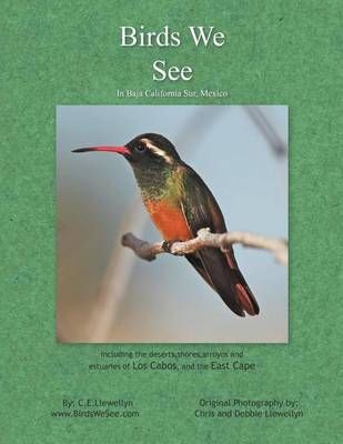 Birds We See By Llewellyn, C. E. 9781462875016 (Paperback)