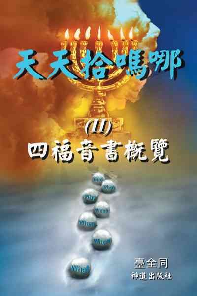 II By 臺全同 9781466939783 (Paperback)