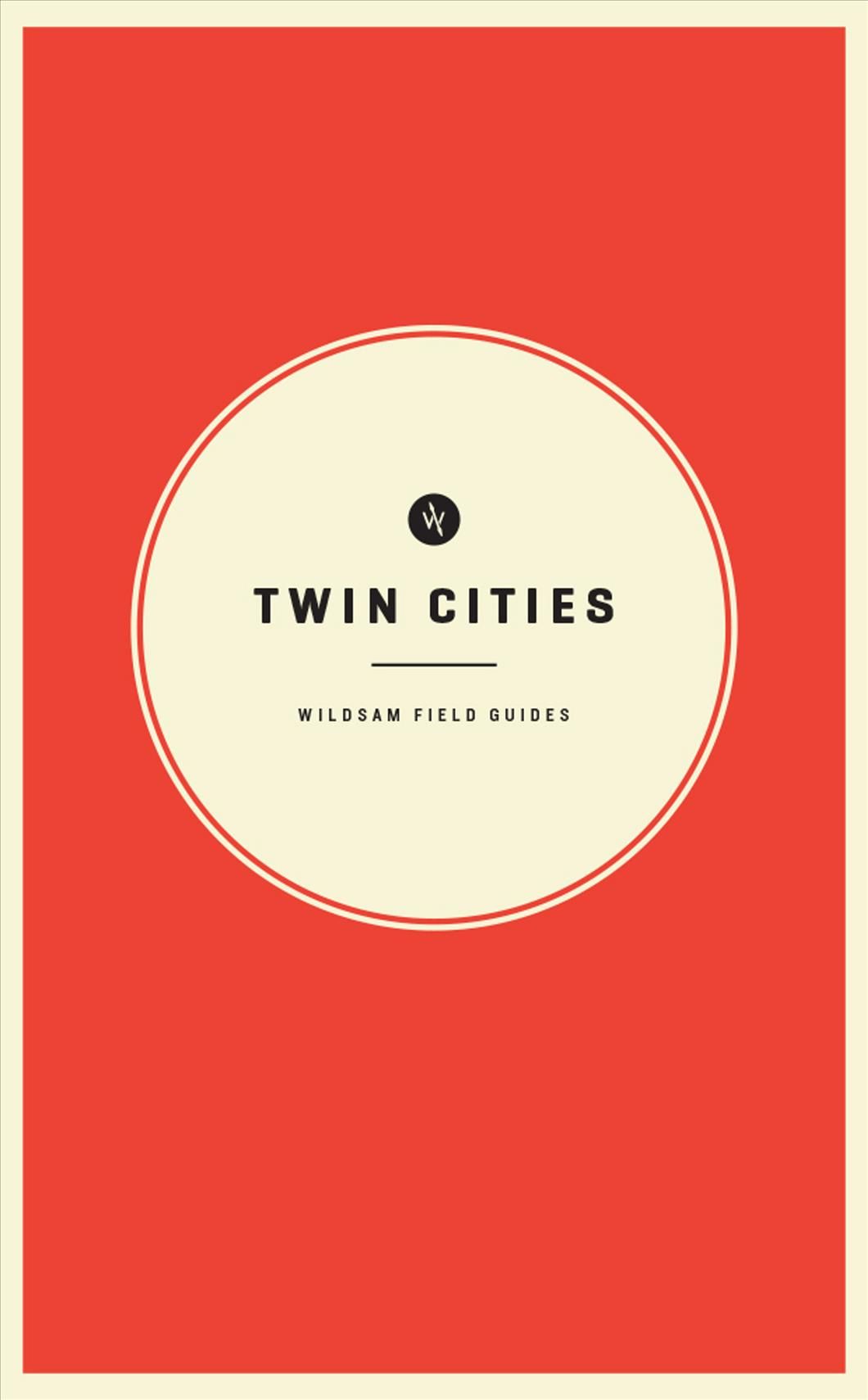 Twin Cities By Hannah Hayes (editor), Andres Guzman 9781467199063