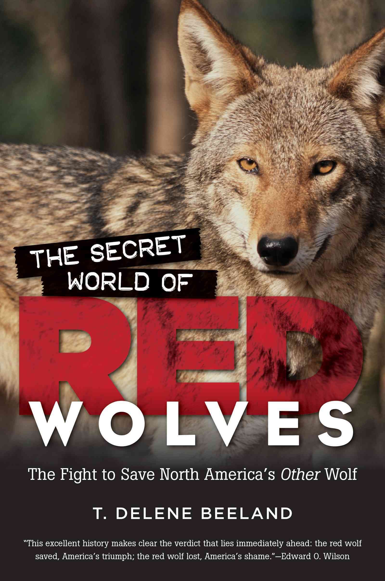 The Secret World of Red Wolves By T. DeLene Beeland 9781469626543