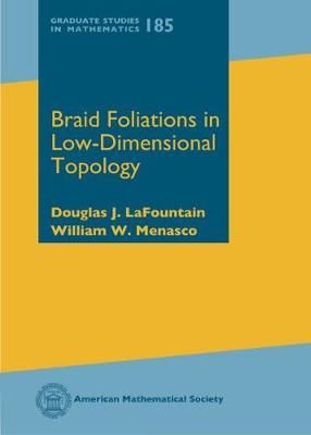 Braid Foliations in Low-Dimensional Topology 9781470436605 (Hardback)