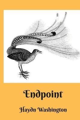 Endpoint By Washington 9781471746895 (Paperback)