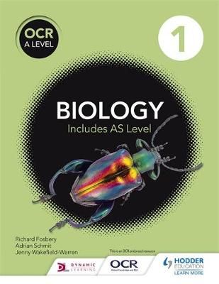 OCR A Level Biology. Year 1 Student Book 9781471809156 (Paperback)