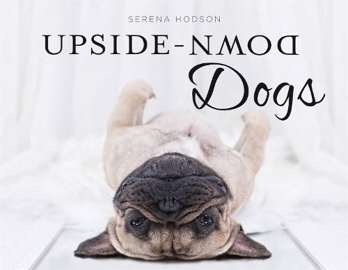 Upside-Down Dogs By Serena Hodson 9781472141071 (Hardback)
