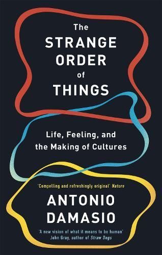 The Strange Order of Things By Antonio R. Damasio 9781472147363