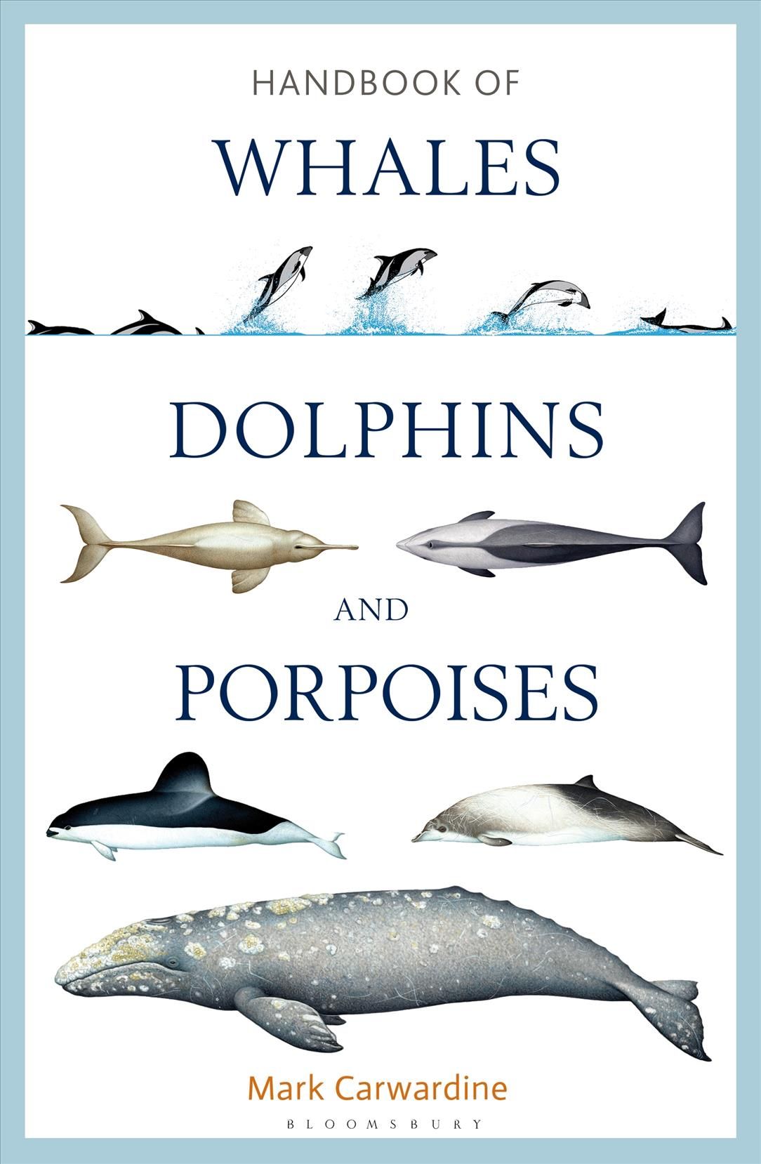 Handbook of Whales, Dolphins and Porpoises By Mark Carwardine