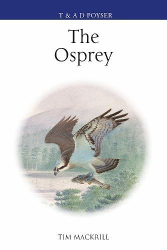 The Osprey By Tim Mackrill 9781472919908 (Hardback)