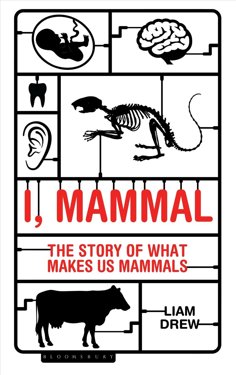I, Mammal By Liam Drew 9781472922915 (Paperback)
